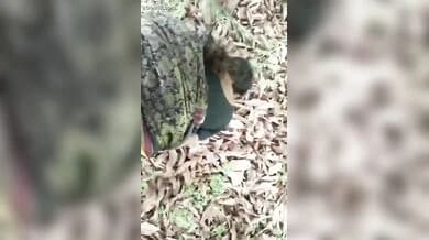 Bhabhi and fucking her in doggy style in the forest
