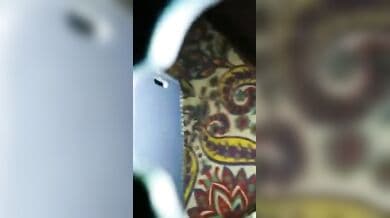 Husband and wife licked and sucked each other’s genitals