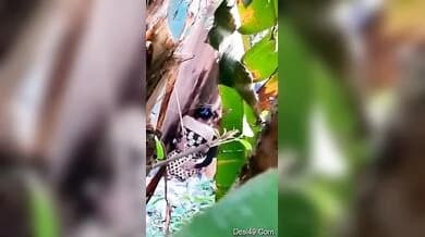 Spying on lovers having secret sex in the bushes behind a building